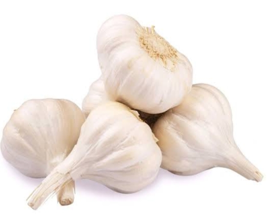 Garlic 
