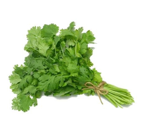 Coriander 