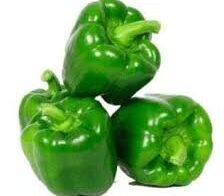 shimla mirchi