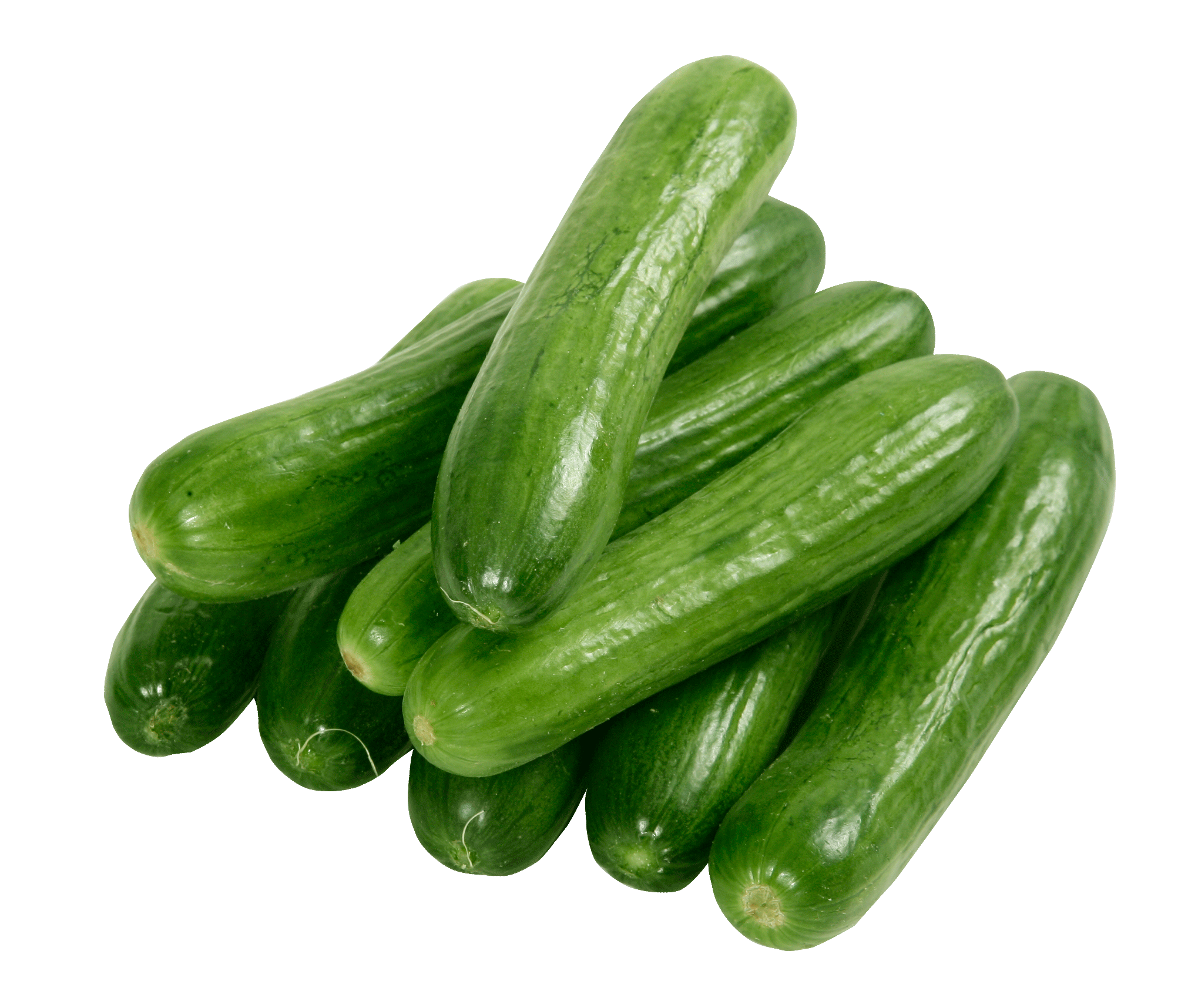 Cucumber (Khira) 