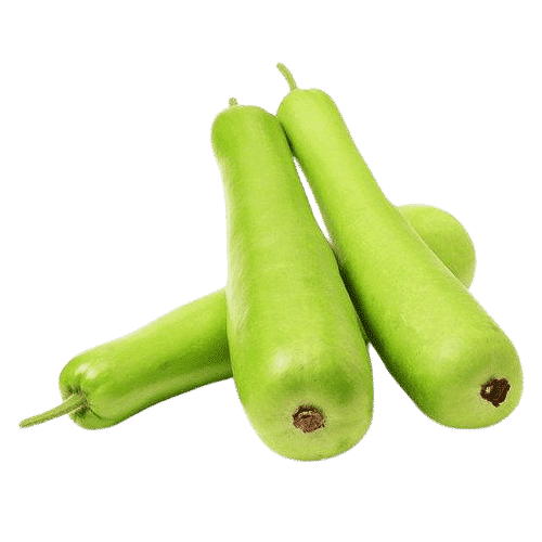 Bottle Gourd
