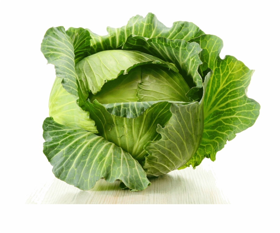 Cabbage