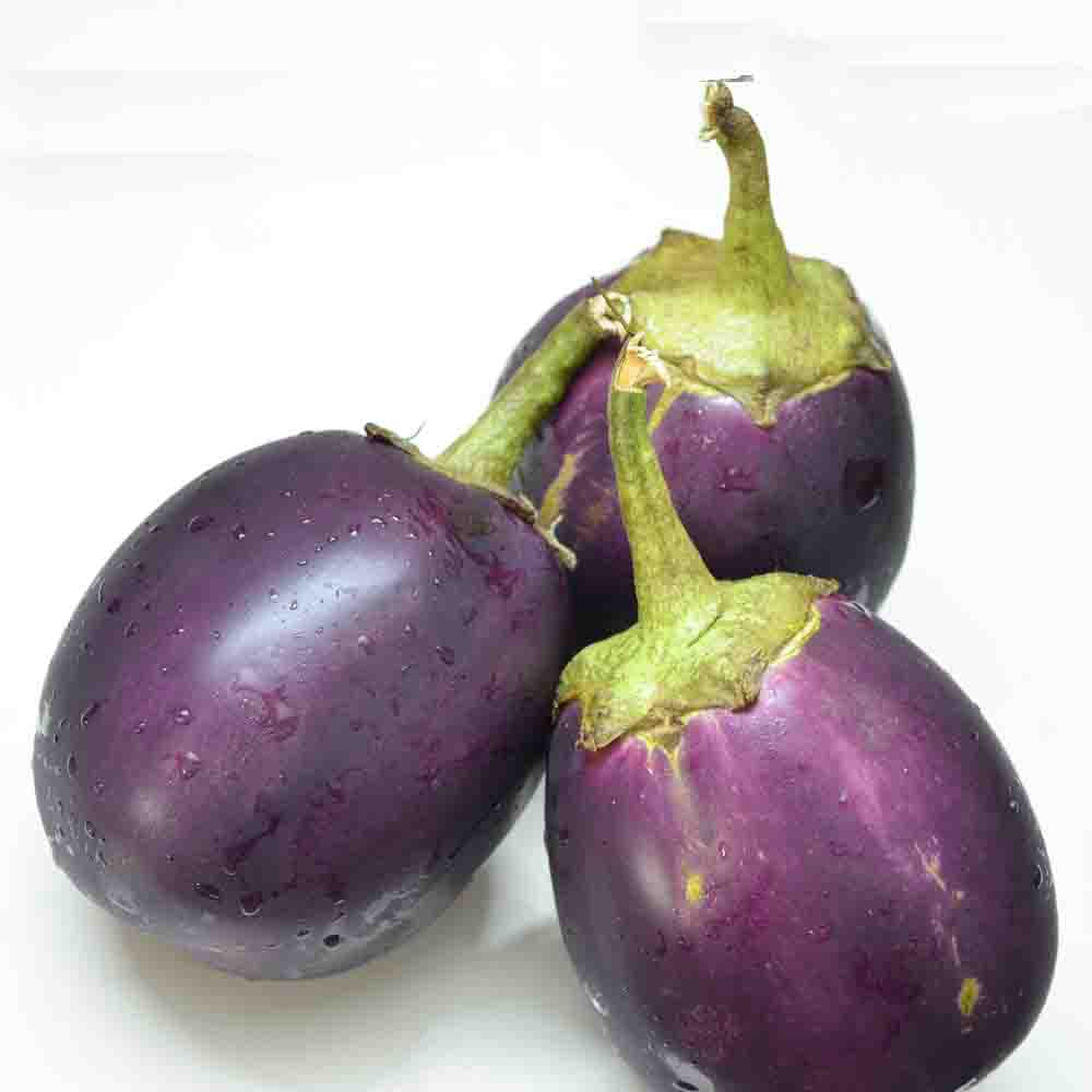 Brinjal 