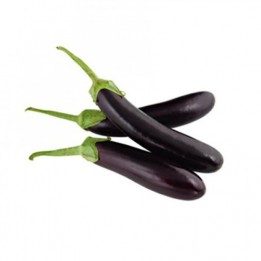 Brinjal Long