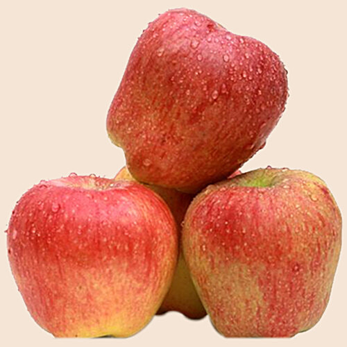 Apple Kashmir new