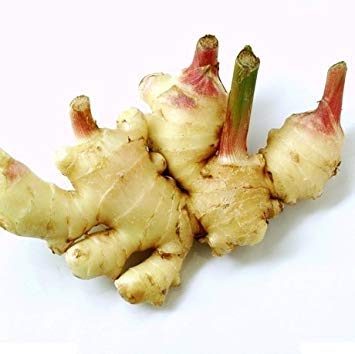 New Ginger (aadu)